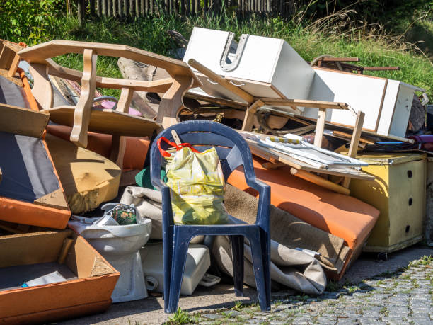 Best Furniture Removal Near Me  in Roebuck, SC