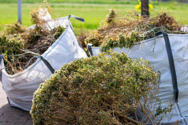 Best Basement Cleanout Services  in Roebuck, SC